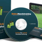 Online Hundetraining - online-hundetraining